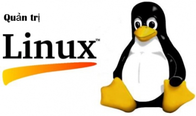 Hướng dẫn quản trị mạng Linux