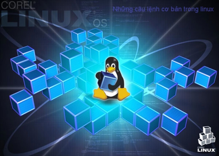 Câu lệnh Linux